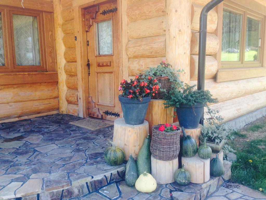 Udany Weekend Apartment Ustrzyki Dolne Exterior photo